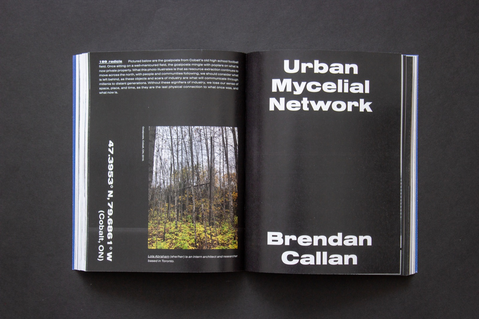 Urban Mycelial Network in galt. Issue 05